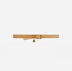 Elisabetta Franchi Belts|Belt With Welded Chains YellowGold