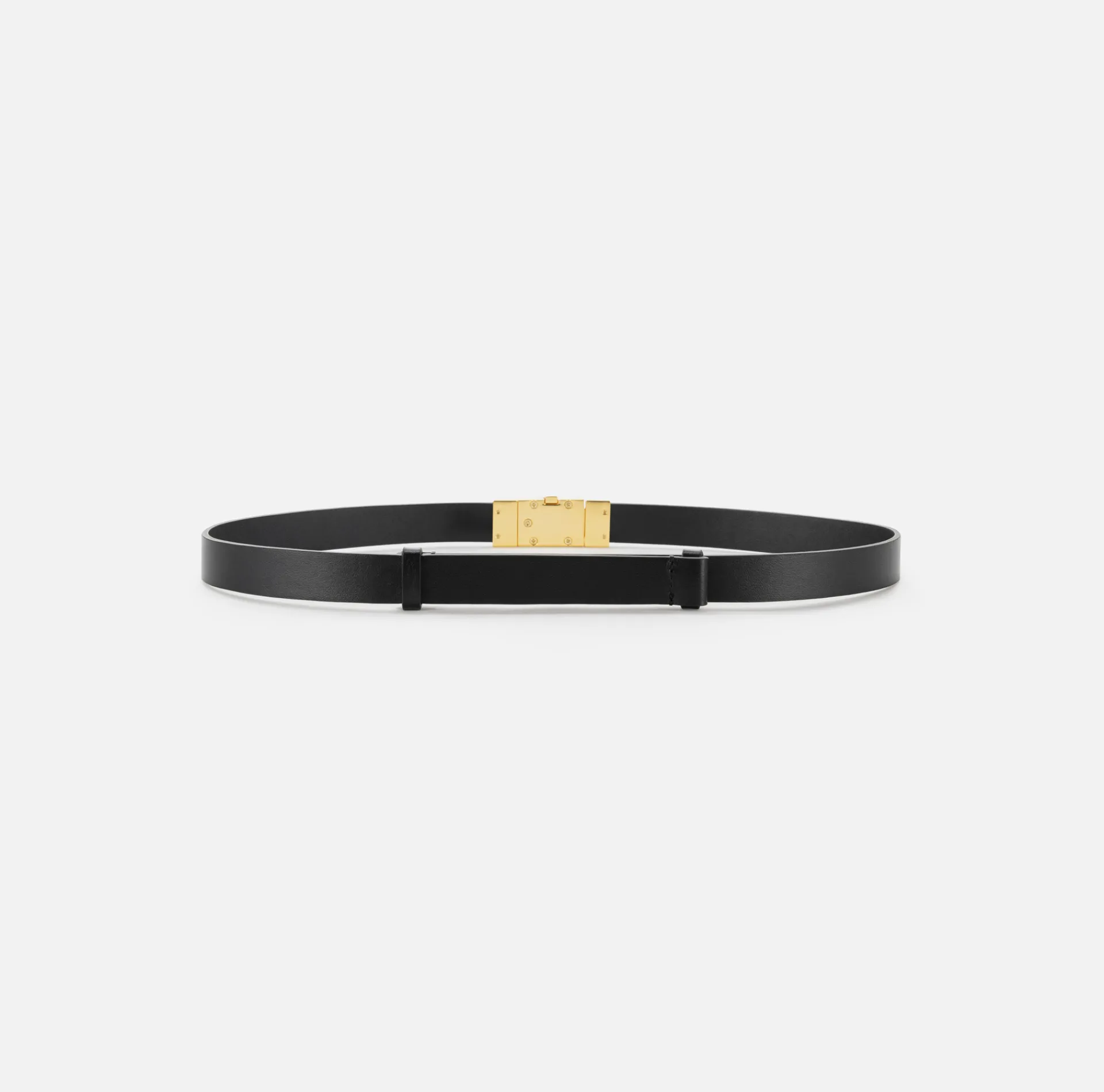 Elisabetta Franchi Belts|High-waisted belt in semi-gloss leather Black