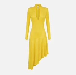 Elisabetta Franchi Midi Dresses|Dresses|Jersey midi dress with jewel accessory Mimosa