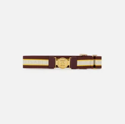 Elisabetta Franchi Belts|Logoed elastic belt with logo buckle RougeNoir/Mimosa/Butter