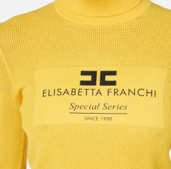 Elisabetta Franchi Knitwear And Sweatshirts|Mesh stitch turtleneck in viscose fabric with inlay Mimosa