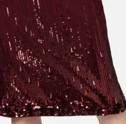 Elisabetta Franchi Skirts|Midi skirt in crêpe fabric embroidered with sequins RougeNoir