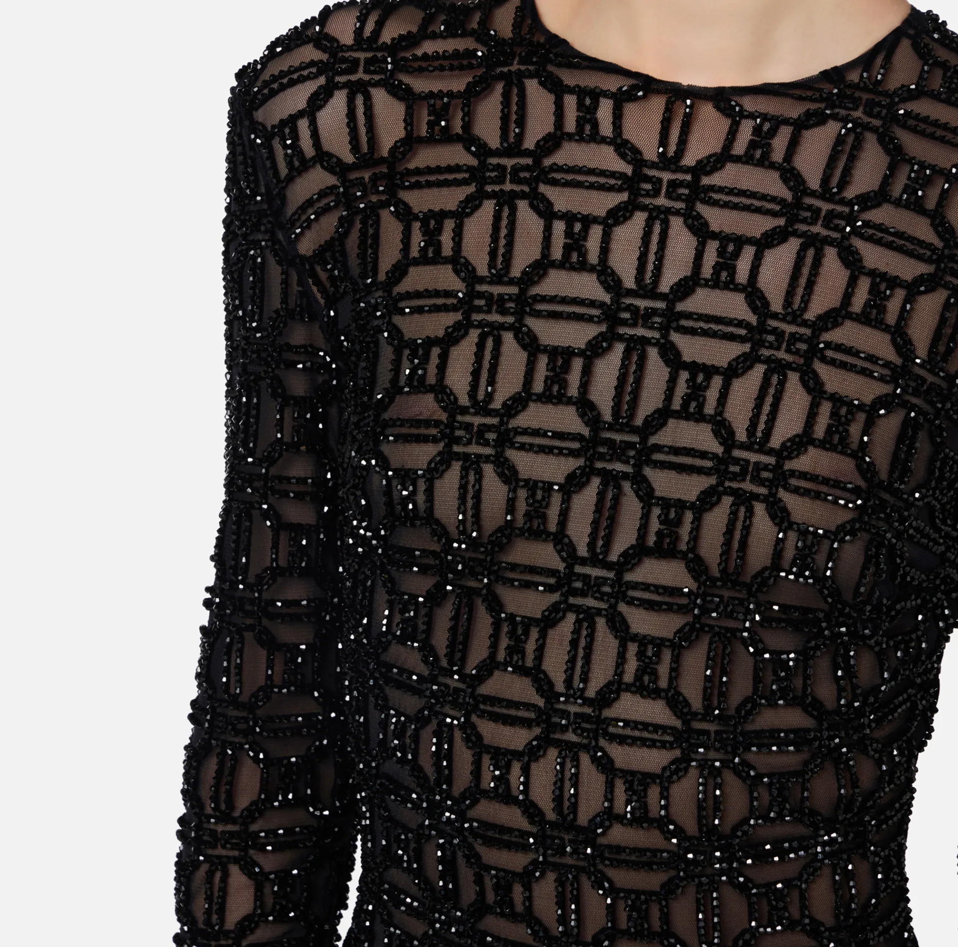 Elisabetta Franchi Red Carpet Dresses|Red Carpet|Red carpet dress in embroidered flock tulle fabric Black