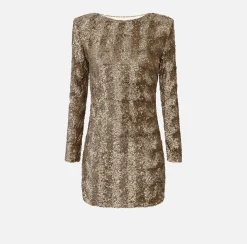 Elisabetta Franchi Dresses|Red Carpet Dresses|Sequin-embroidered tulle boxy mini-dress Camel