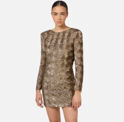 Elisabetta Franchi Dresses|Red Carpet Dresses|Sequin-embroidered tulle boxy mini-dress Camel
