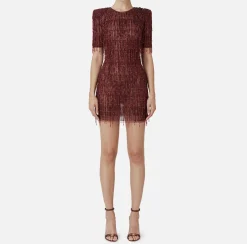 Elisabetta Franchi Red Carpet Dresses|Mini Dresses|Sequin-embroidered tulle boxy mini-dress RougeNoir