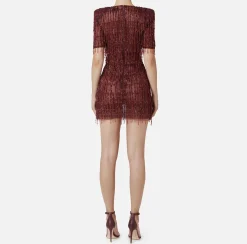 Elisabetta Franchi Red Carpet Dresses|Mini Dresses|Sequin-embroidered tulle boxy mini-dress RougeNoir