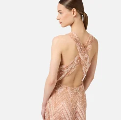 Elisabetta Franchi Red Carpet Dresses|Red Carpet|Tulle red carpet dress with chevron pattern sequin embroidery DustyPink