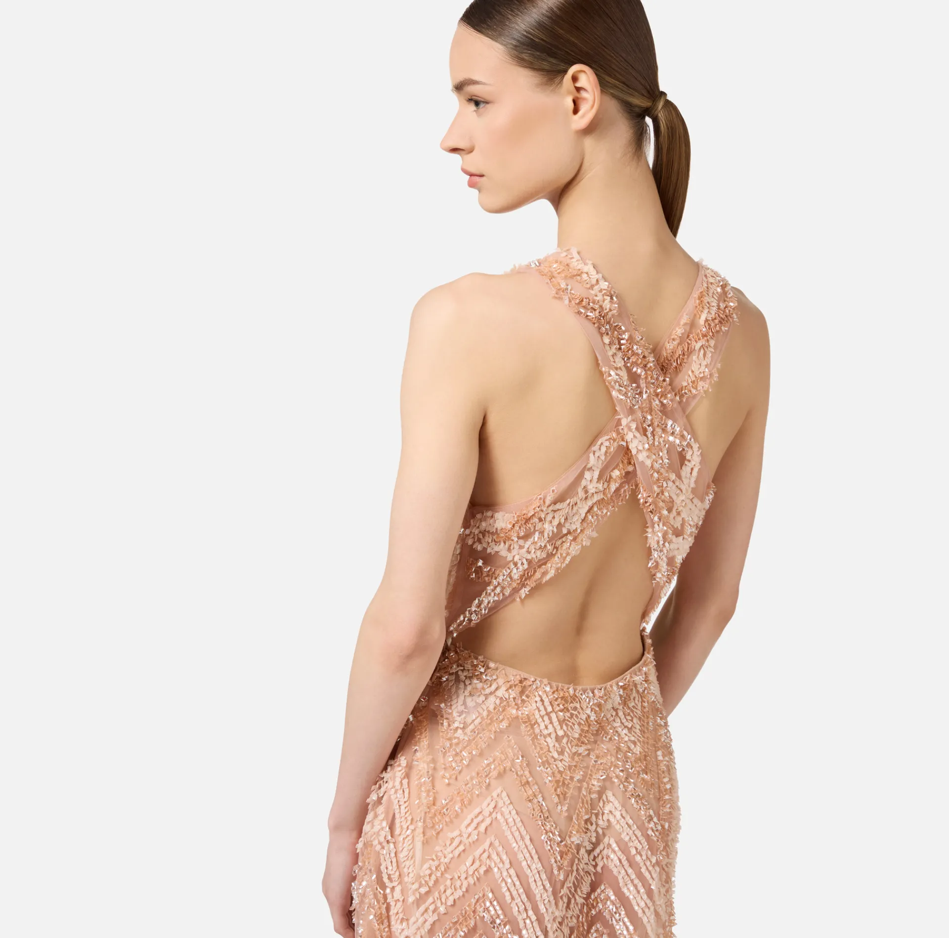 Elisabetta Franchi Red Carpet Dresses|Red Carpet|Tulle red carpet dress with chevron pattern sequin embroidery DustyPink